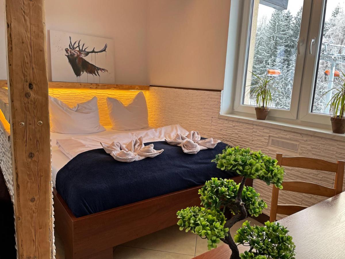 Safir Przy Samym Wyciagu Bed & Breakfast Karpacz Exterior photo
