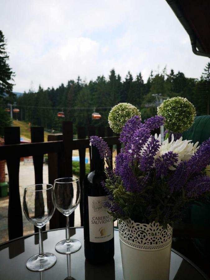 Safir Przy Samym Wyciagu Bed & Breakfast Karpacz Exterior photo